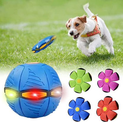 Dog Flying Disc Frisbee – Durable Fetch Toy for Medium & Large Dogs