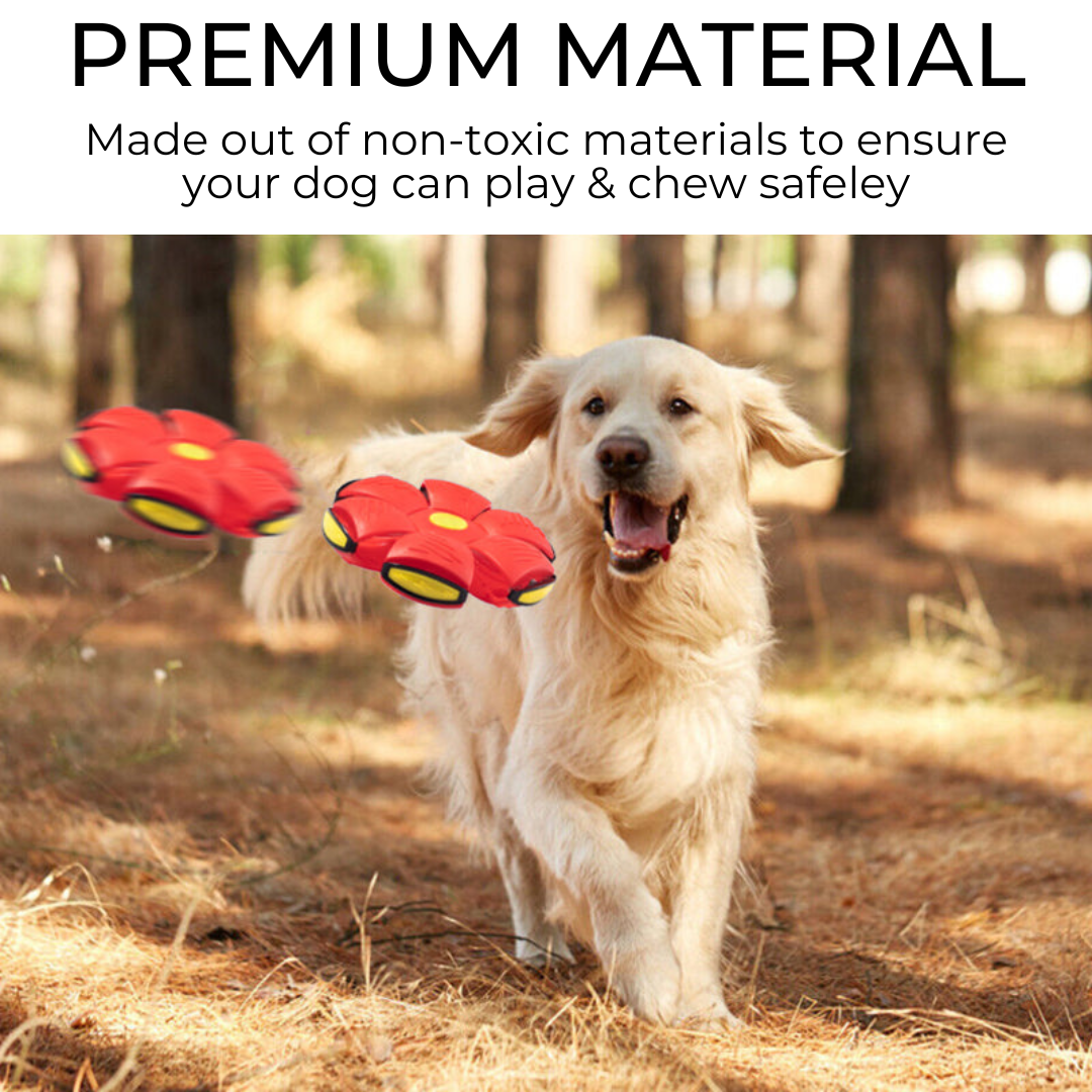 Dog Flying Disc Frisbee – Durable Fetch Toy for Medium & Large Dogs